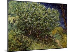 Lilac Bush, 1889-Vincent van Gogh-Mounted Art Print