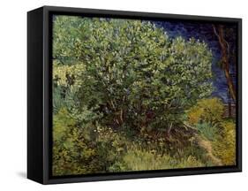 Lilac Bush, 1889-Vincent van Gogh-Framed Stretched Canvas