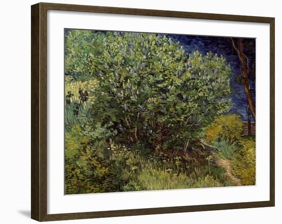 Lilac Bush, 1889-Vincent van Gogh-Framed Art Print