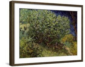 Lilac Bush, 1889-Vincent van Gogh-Framed Art Print