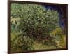 Lilac Bush, 1889-Vincent van Gogh-Framed Art Print