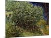 Lilac Bush, 1889-Vincent van Gogh-Mounted Art Print