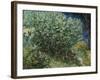 Lilac Bush-Vincent van Gogh-Framed Giclee Print