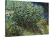 Lilac Bush-Vincent van Gogh-Stretched Canvas