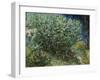 Lilac Bush-Vincent van Gogh-Framed Giclee Print