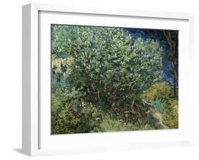 Lilac Bush-Vincent van Gogh-Framed Giclee Print