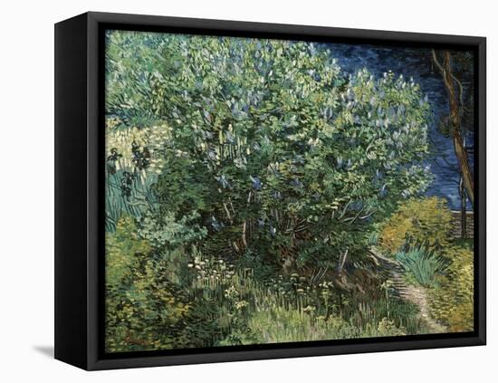 Lilac Bush-Vincent van Gogh-Framed Stretched Canvas