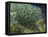 Lilac Bush-Vincent van Gogh-Framed Stretched Canvas