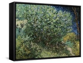 Lilac Bush-Vincent van Gogh-Framed Stretched Canvas