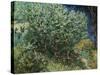 Lilac Bush-Vincent van Gogh-Stretched Canvas