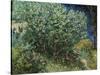 Lilac Bush-Vincent van Gogh-Stretched Canvas