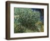 Lilac Bush-Vincent van Gogh-Framed Giclee Print