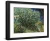 Lilac Bush-Vincent van Gogh-Framed Giclee Print