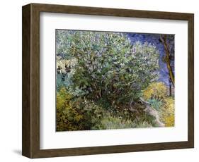 Lilac Bush-Vincent van Gogh-Framed Art Print