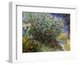 Lilac Bush-Vincent van Gogh-Framed Art Print