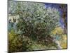 Lilac Bush-Vincent van Gogh-Mounted Art Print