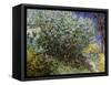 Lilac Bush-Vincent van Gogh-Framed Stretched Canvas