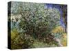 Lilac Bush-Vincent van Gogh-Stretched Canvas