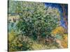 Lilac Bush-Vincent van Gogh-Stretched Canvas