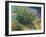 Lilac Bush-Vincent van Gogh-Framed Giclee Print