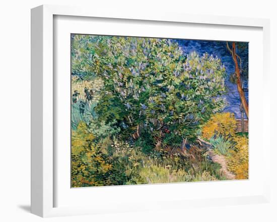 Lilac Bush-Vincent van Gogh-Framed Giclee Print