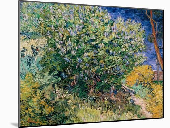 Lilac Bush-Vincent van Gogh-Mounted Giclee Print