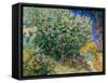 Lilac Bush-Vincent van Gogh-Framed Stretched Canvas