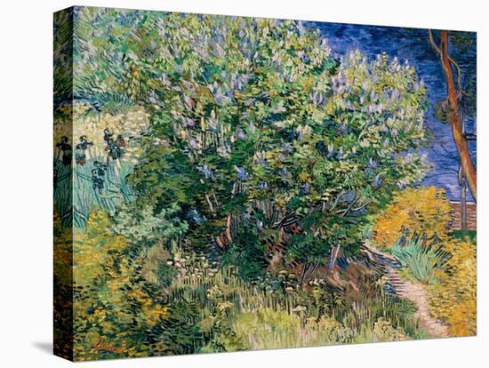 Lilac Bush-Vincent van Gogh-Stretched Canvas