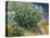 Lilac Bush-Vincent van Gogh-Stretched Canvas