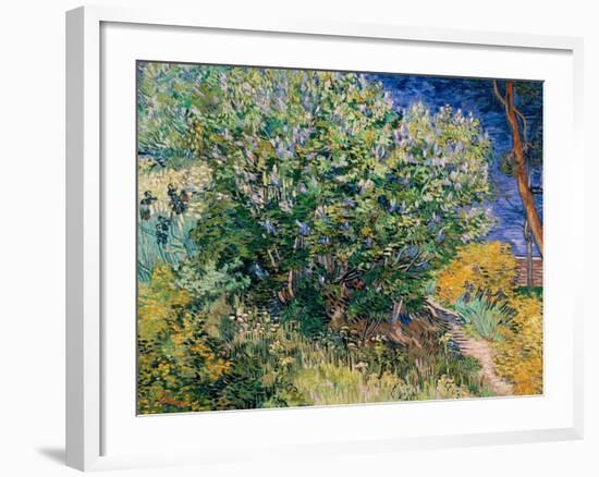 Lilac Bush-Vincent van Gogh-Framed Giclee Print