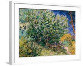 Lilac Bush-Vincent van Gogh-Framed Giclee Print