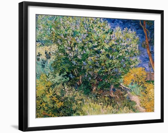 Lilac Bush-Vincent van Gogh-Framed Giclee Print