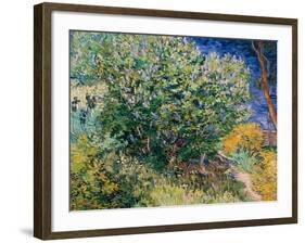 Lilac Bush-Vincent van Gogh-Framed Giclee Print