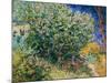 Lilac Bush-Vincent van Gogh-Mounted Giclee Print