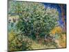 Lilac Bush-Vincent van Gogh-Mounted Giclee Print