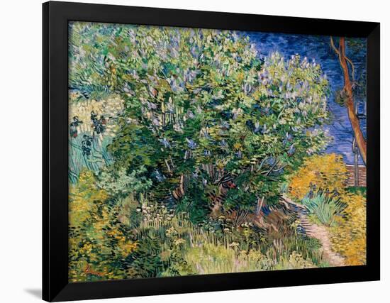 Lilac Bush-Vincent van Gogh-Framed Giclee Print