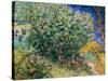 Lilac Bush-Vincent van Gogh-Stretched Canvas