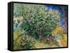 Lilac Bush-Vincent van Gogh-Framed Stretched Canvas