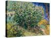 Lilac Bush-Vincent van Gogh-Stretched Canvas