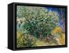 Lilac Bush-Vincent van Gogh-Framed Stretched Canvas