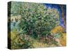 Lilac Bush-Vincent van Gogh-Stretched Canvas