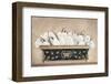 Lilac Cache-Pot-Jennifer Brice-Framed Giclee Print