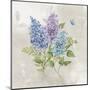 Lilac Cluster I-null-Mounted Art Print