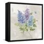 Lilac Cluster I-null-Framed Stretched Canvas