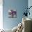 Lilac Cluster-Valeriy Chuikov-Mounted Giclee Print displayed on a wall