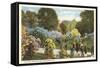 Lilac Day, Highland Park, Rochester, New York-null-Framed Stretched Canvas