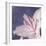 Lilac Flower I-Lucy Meadows-Framed Giclee Print