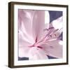 Lilac Flower II-Lucy Meadows-Framed Giclee Print