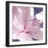 Lilac Flower II-Lucy Meadows-Framed Giclee Print
