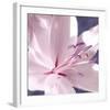 Lilac Flower II-Lucy Meadows-Framed Giclee Print